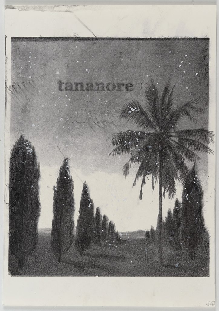 Tananore, 2023